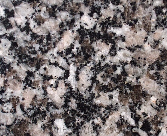 Moonlight Grey Granite Slabs & Tiles, United States Grey Granite