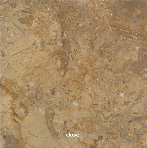 Breccia Sinai, Egypt Beige Limestone Slabs & Tiles