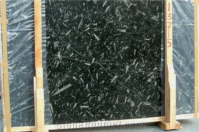 Fossil Black Limestone Slab, Morocco Black Limestone