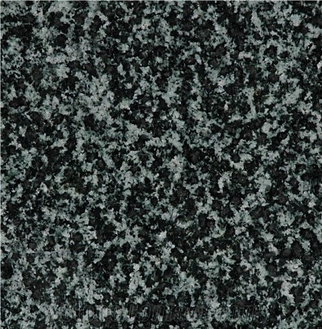 China Forest Green Granite Slabs & Tiles