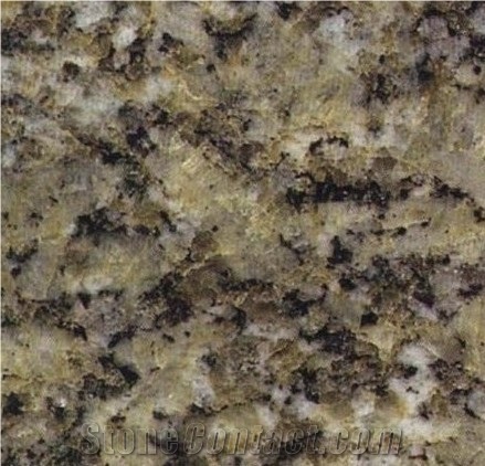 Pine Green Granite Tiles