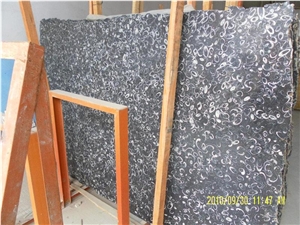 Black Fossill Slabs,Granite Tile, Granite Slabs, Granite Countertops, Granite Tiles, Granite Floor Tiles