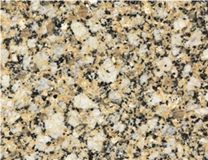Kala Golden Granite Tile, China Yellow Granite