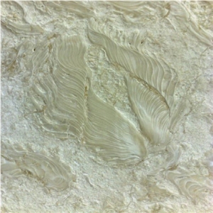 Shells Stone Beige Limestone