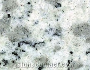 G365 Sesame White Granite Tiles