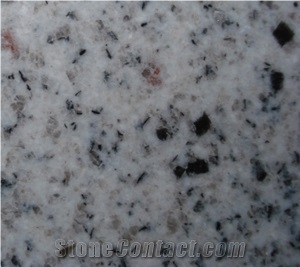 G365 Sesame White Granite Tiles/Slabs