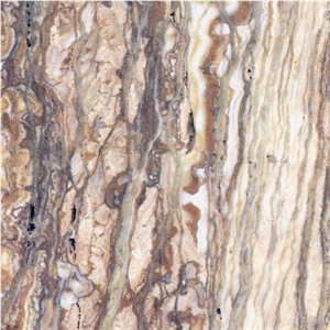 Azarshazarshahr Walnut Travertine Slabs & Tiles, Iran Brown Travertine