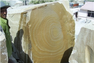 Wonderwood Quartzite Block