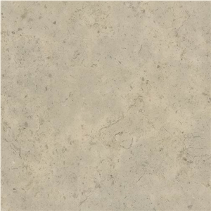 Fossil Limestone Slabs & Tiles, Spain Beige Limestone