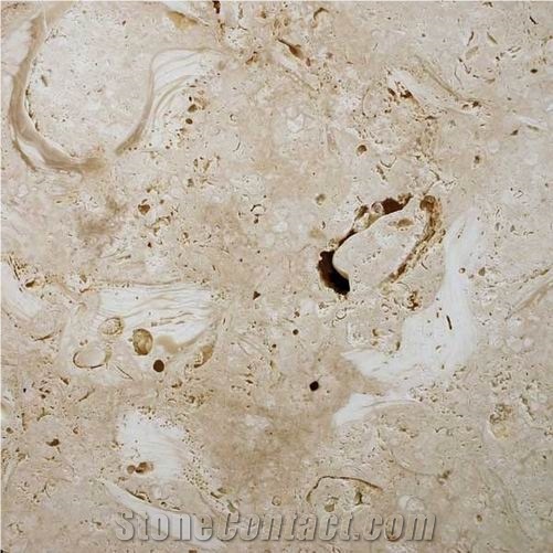 Ostra Shellstone Limestone Slabs & Tiles, Mexico Beige Limestone