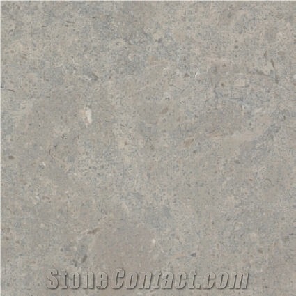 Mali I Thate, Albania Grey Limestone Slabs & Tiles