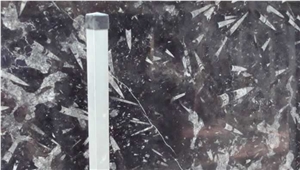 Fossil Nero Limestone Slabs & Tiles