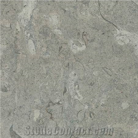 Bir Zeit Grey Limestone Slabs & Tiles, Israel Grey Limestone