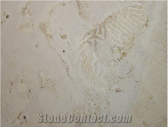 Coralina Beige Limestone Slabs, Dominican Republic Beige Limestone