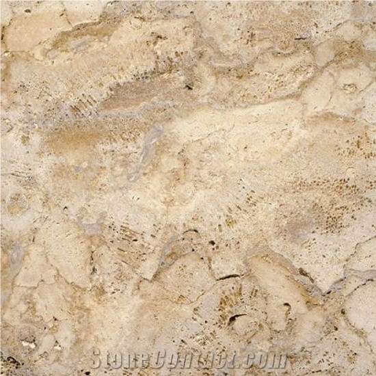 Coralina Gold Coral Stone Tiles, Dominican Coralina Gold Coral Stone Tiles