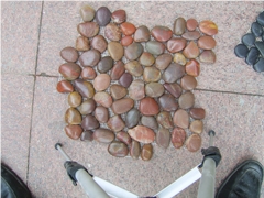 Stone Pieces with Net Pebble Stone