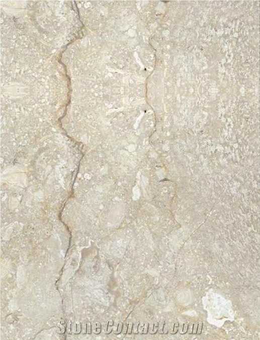 Shell Beige Limestone Slabs & Tiles, Iran Beige Limestone