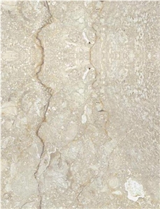 Shell Beige Limestone Slabs & Tiles, Iran Beige Limestone