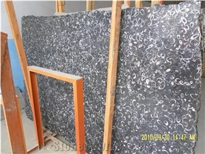 Black Fossil/Black Marble Slabs & Tiles, China Black Marble