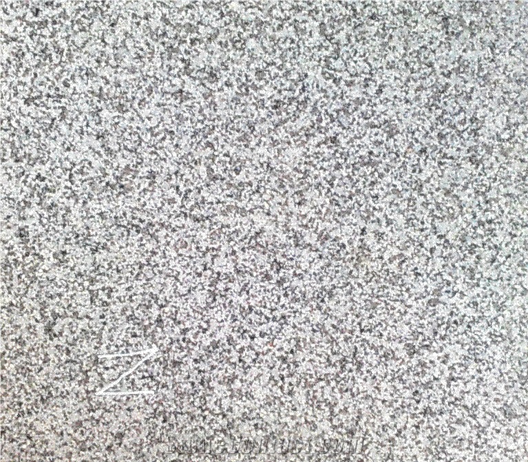 A-117 Morvaride Granite Slabs & Tiles, Iran Grey Granite