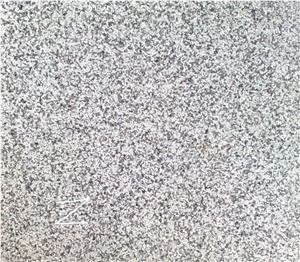 A-117 Morvaride Granite Slabs & Tiles, Iran Grey Granite