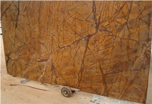 Rainforest Brown
