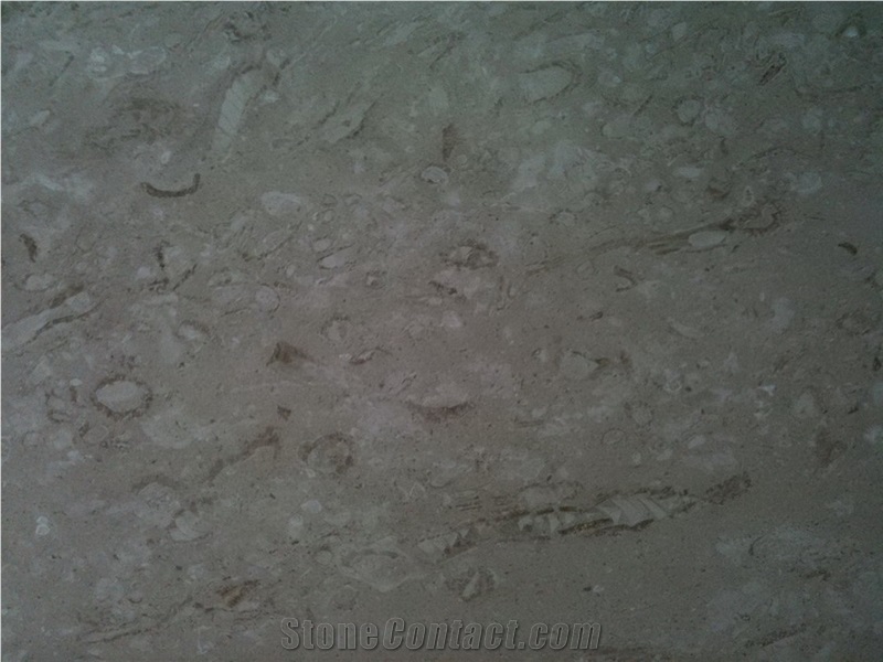 Beige Seashell Coral Limestone Honed Slabs,Machine Cutting Tile Panel for Bathroom Wall Cladding,Hotel Lobby Floor Covering