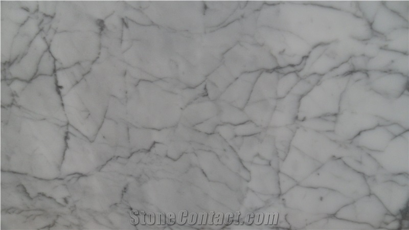 Bianco Carrara Venato Marble Slabs & Tiles Marble Machine Cutting Tile Panel for Hotel Lobby Floor Paving,Bathoom Wall Cladding