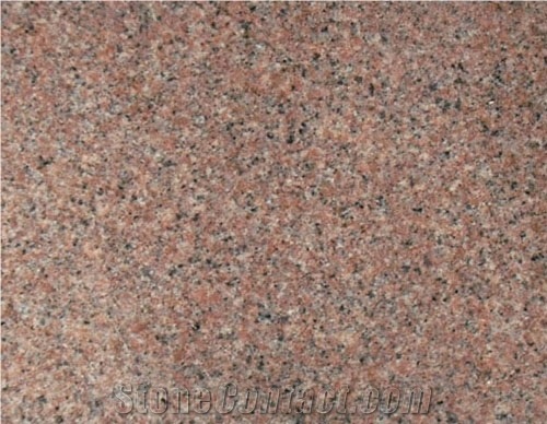 G354 Qilu Red Granite