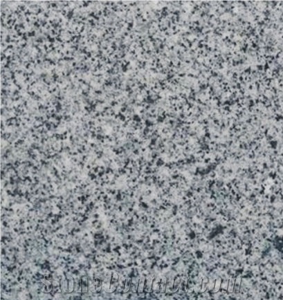 G381 Wendeng Grey Granite