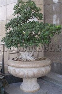 Gardens and Carving Flowerpot