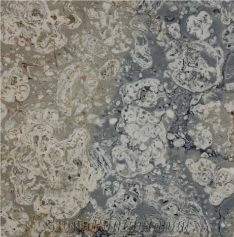 Marjan Marble Slabs & Tiles, Iran Grey Marble