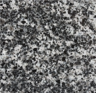 Meskhi Alamut Granite Slabs & Tiles, Iran Black Granite