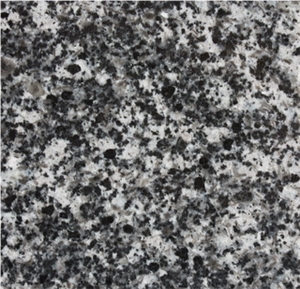 Meskhi Alamut Granite Slabs & Tiles, Iran Black Granite