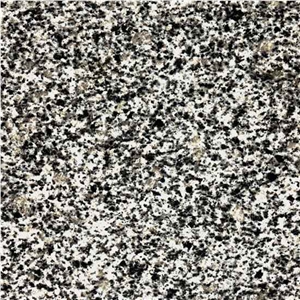 Grey Ukraine Granite Slabs & Tiles