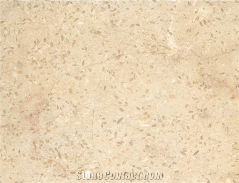 French Beige Marble Slabs & Tiles