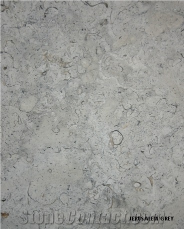 Jerusalem Grey Limestone Slabs & Tiles, Israel Grey Limestone