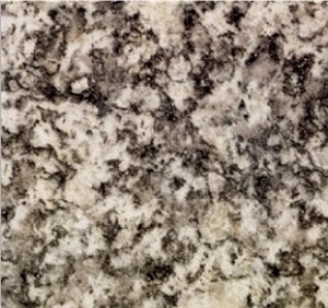 Serizzo Formazza Granite Tile, Italy Grey Granite