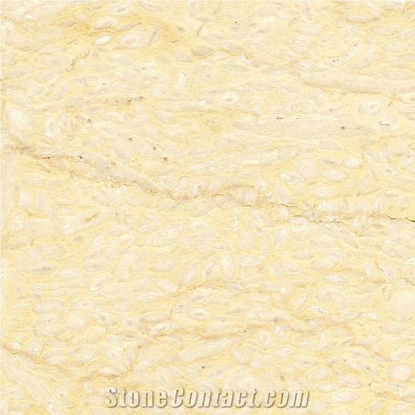Sylvia Yellow Marble Slabs & Tiles, Egypt Yellow Marble
