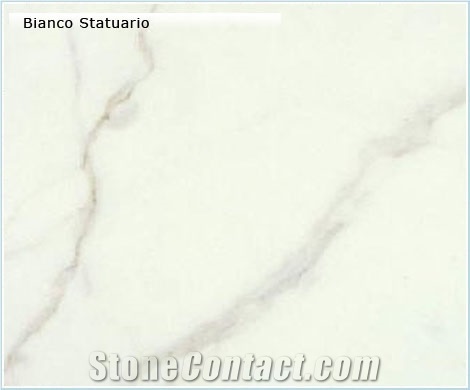 Statuary Marble Slabs & Tiles, Italy White Marble
