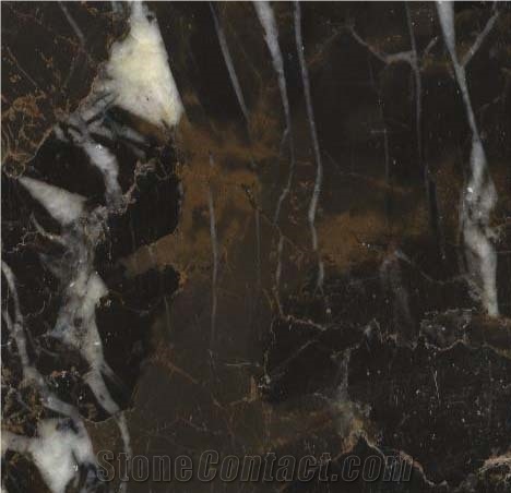 King Gold Marble Slabs & Tiles, Pakistan Black Marble