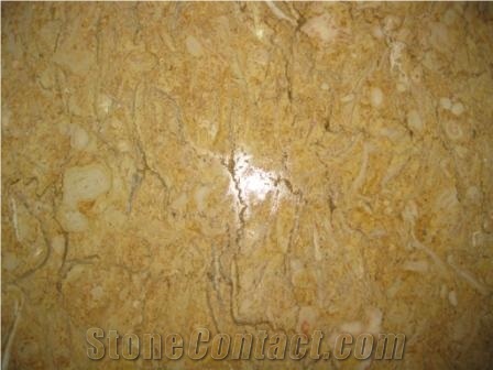 Yellow Thala Limestone Slabs & Tiles