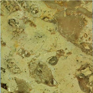 Breccia Khatmia Limestone Slabs & Tiles, Egypt Beige Limestone