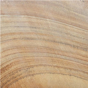 Fossil Mint Sandstone Slabs & Tiles, India Beige Sandstone