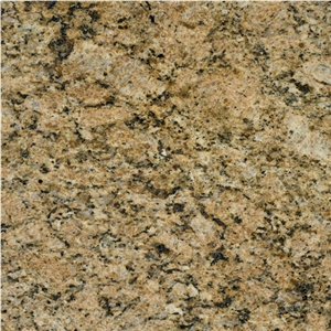 Giallo Venezia Fiorito Granite Slabs & Tiles