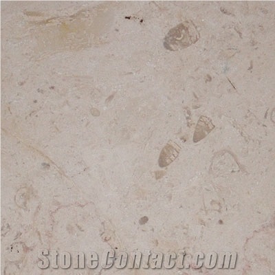 Jerusalem Bone Limestone Slabs & Tiles, Israel White Limestone