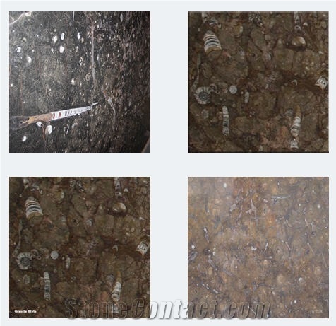 Fossil Brown Limestone Marble Slabs & Tiles, Morocco Brown Limestone
