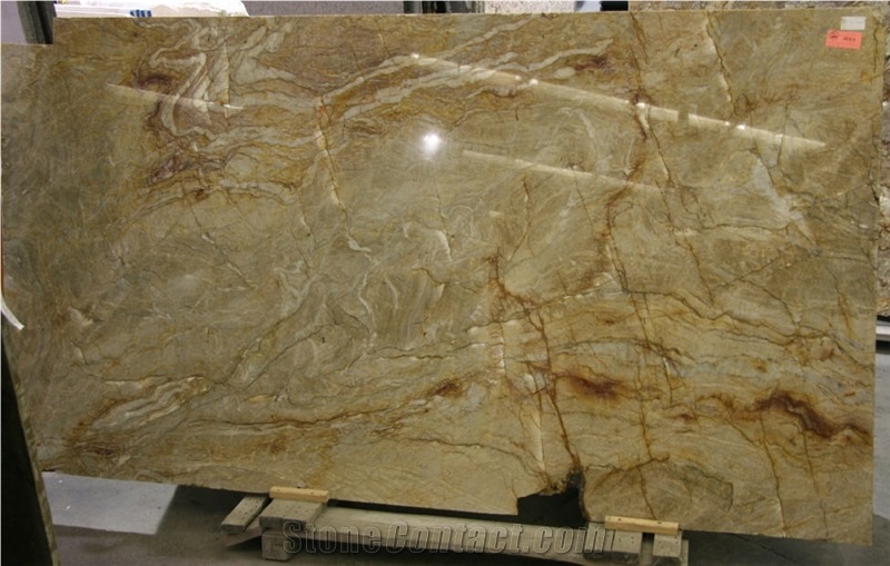 Feathered Oyster Quartzite Slab from United States