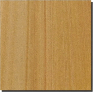 China Yellow Sandstone Slabs & Tiles
