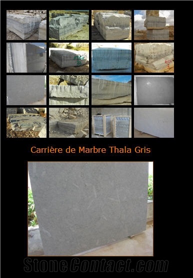 Thala Gris Limestone, Tunisia Grey Limestone